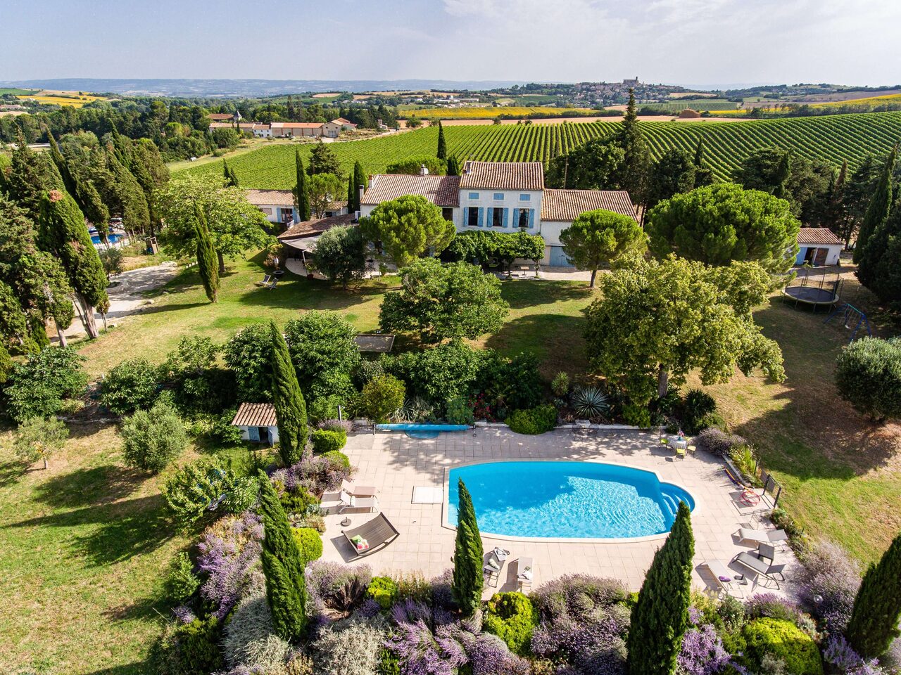 Vue aérienne du Domaine de Segonne au milieu des vignes