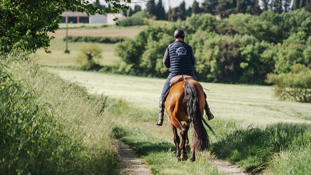 Grupo a caballo entre los campos