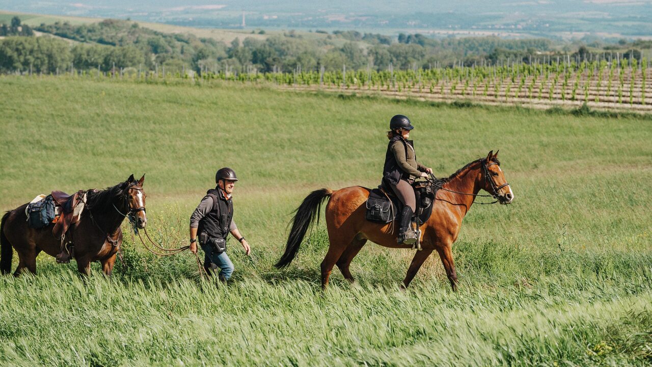 Caballos alimentándose en la finca